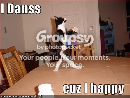 lolcat1.jpg