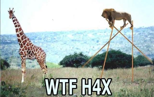 wtfh4x2aj.jpg