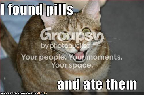 lolcat-funny-picture-found-pills-at.jpg