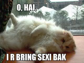 sexi_back_kitteh.jpg