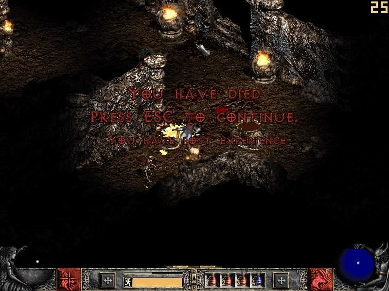 nt1.jpg