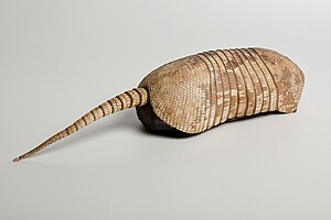 300px-Armadillo.jpg