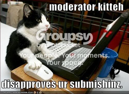 lolcat-funny-picture-modera.jpg