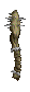 gnarledroot.gif