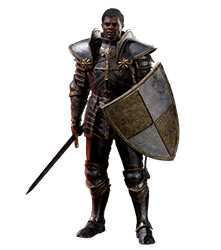 D2R_Paladin_kleiner.png