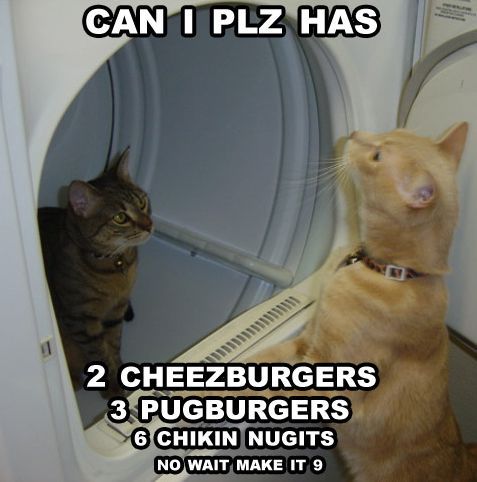 1188245238-cheeze.b.jpg