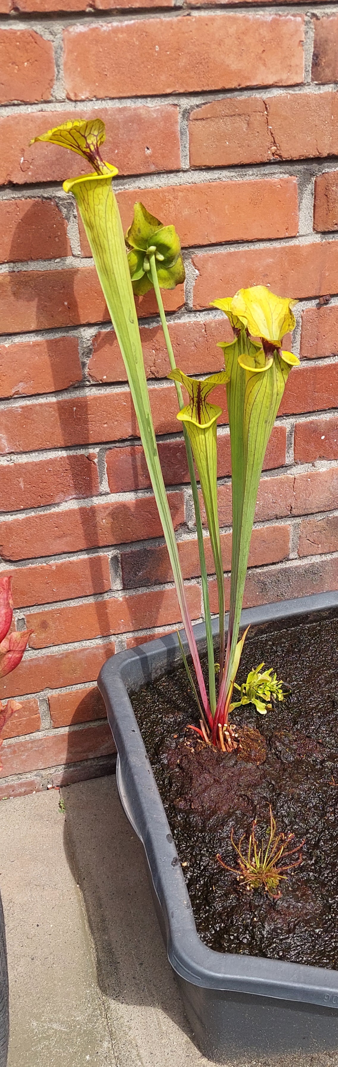 67f32qpz.jpg