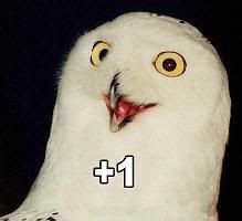 1-1.jpg