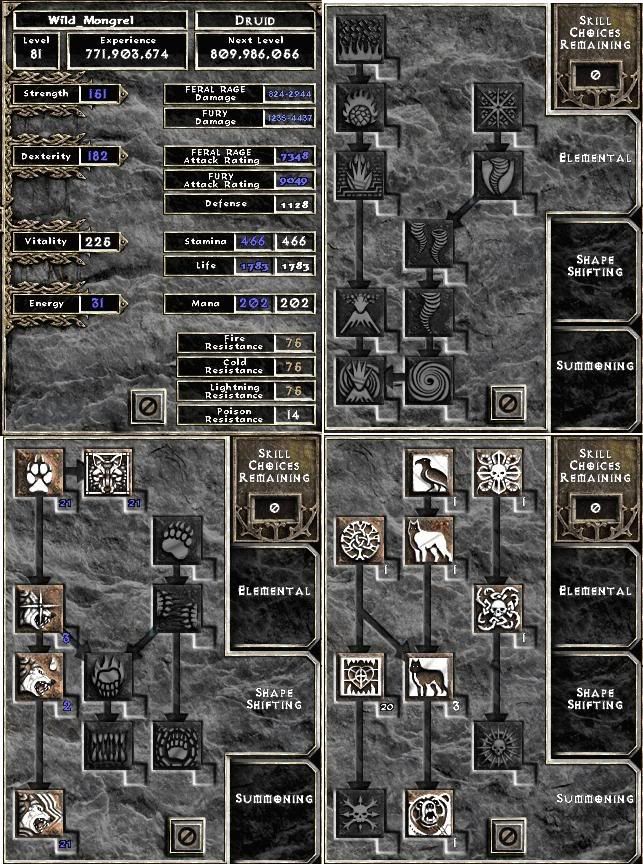 Skills.jpg