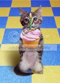 BirthdayKitten.jpg