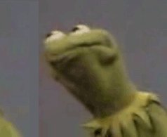 Kermit_face.jpg