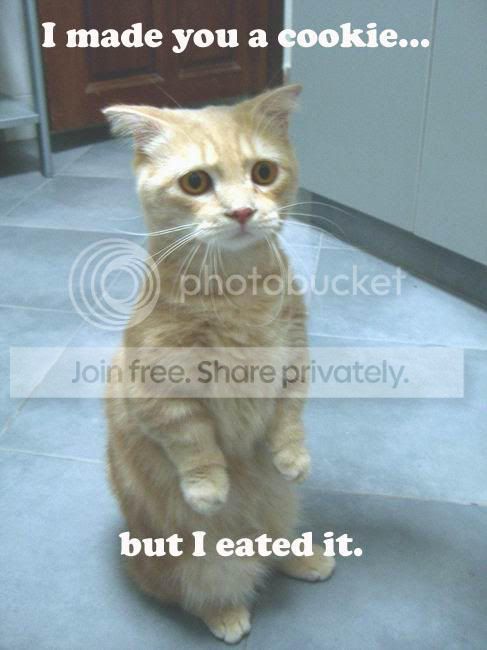 cookie.jpg