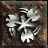 D2_Barbarian_Whirlwind.jpg