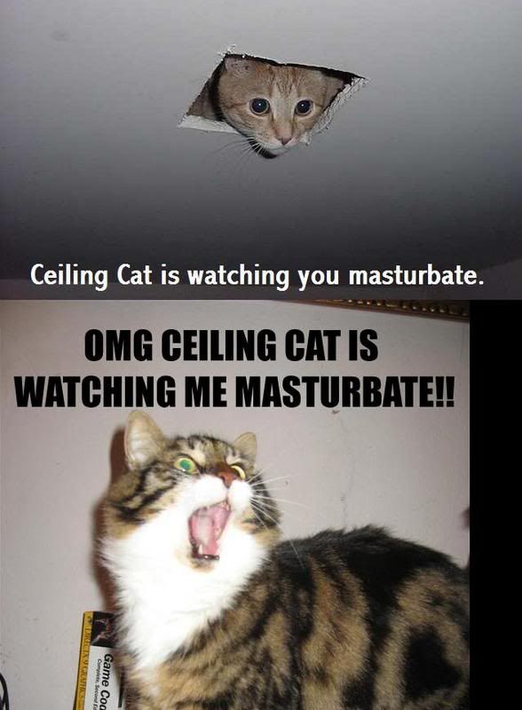 ceiling-cat.jpg