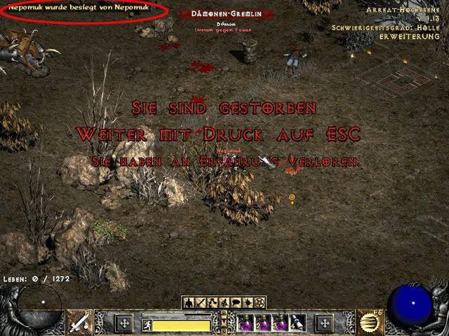 selbstmordpaladin.jpg