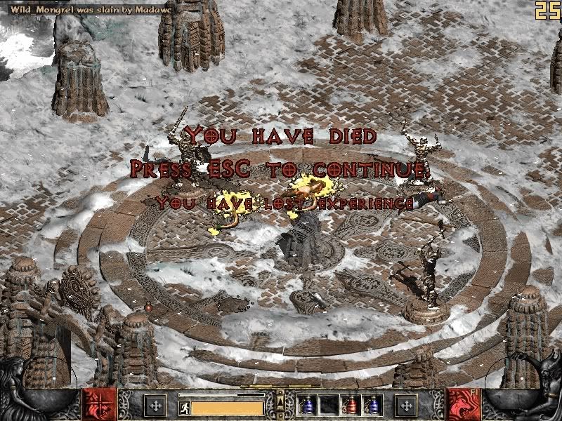 nt7.jpg
